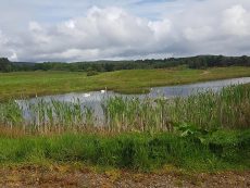 Fishing Scottish Highlands - Heathfield Highland Estate Accommodation, Holiday Homes NC500