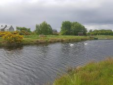 Relaxing Scenery at our Holiday Homes near Alness and Invergordon Scottish Highlands - Heathfield Highland Estate Accommodation, Holiday Homes NC500