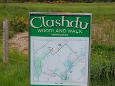 Outdoor Activities - Clashdu Woodland Walk Alness, Invergordon Scottish Highlands - Heathfield Highland Estate Accommodation, Holiday Homes NC500