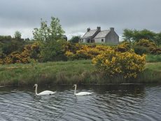 Fishing Scottish Highlands - Heathfield Highland Estate Accommodation, Holiday Homes NC500